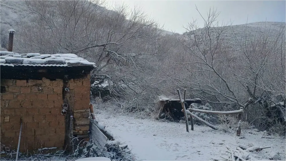 nieve en salta
