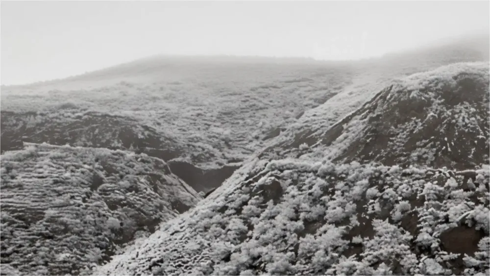 nieve salta